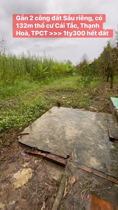 Đất nền Thạnh Hòa, Cái Răng 1900m² giá 1.3 tỷ - Phù hợp làm nhà vườn nghỉ dưỡng!