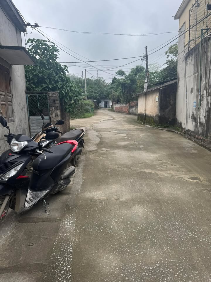 Đất nền 100m² khu phố 4 Lam Sơn 1.1 tỷ - Sổ đỏ chính chủ, dân cư đông đúc!