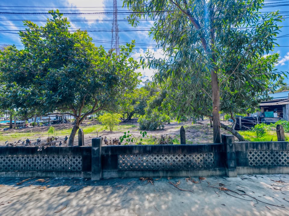 Bán đất Tân An, La Gi 114m² chỉ 1.25 tỷ - Đất ở đô thị, pháp lý rõ ràng!