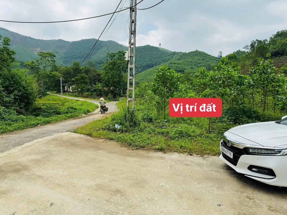 Đất CLN Đồng Lạc, Yên Lập 1.200m² giá 300 triệu - Cơ hội đầu tư tuyệt vời!