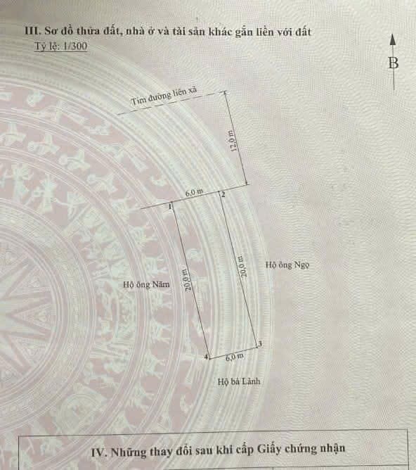 FrontHouse đường Chùa Nghèo, An Đồng 120m² giá 9.84 tỷ - Vị trí kinh doanh đắc địa!