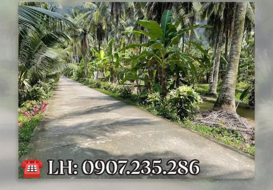 Đất nền mặt tiền Phú Tân Bến Tre 101m² giá 500 triệu - Đầu tư sinh lời ngay!