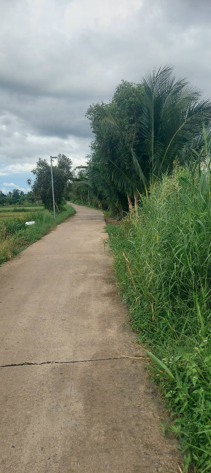 Đất nền 3780m² tại ấp Tân Lập, Tiền Giang chỉ 1.15 tỷ - Cơ hội đầu tư sinh lời!