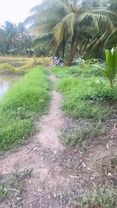 Đất nền Hòa Bình Vĩnh Long 7200m² giá 1.152 tỷ - Đầu tư sinh lời ngay!