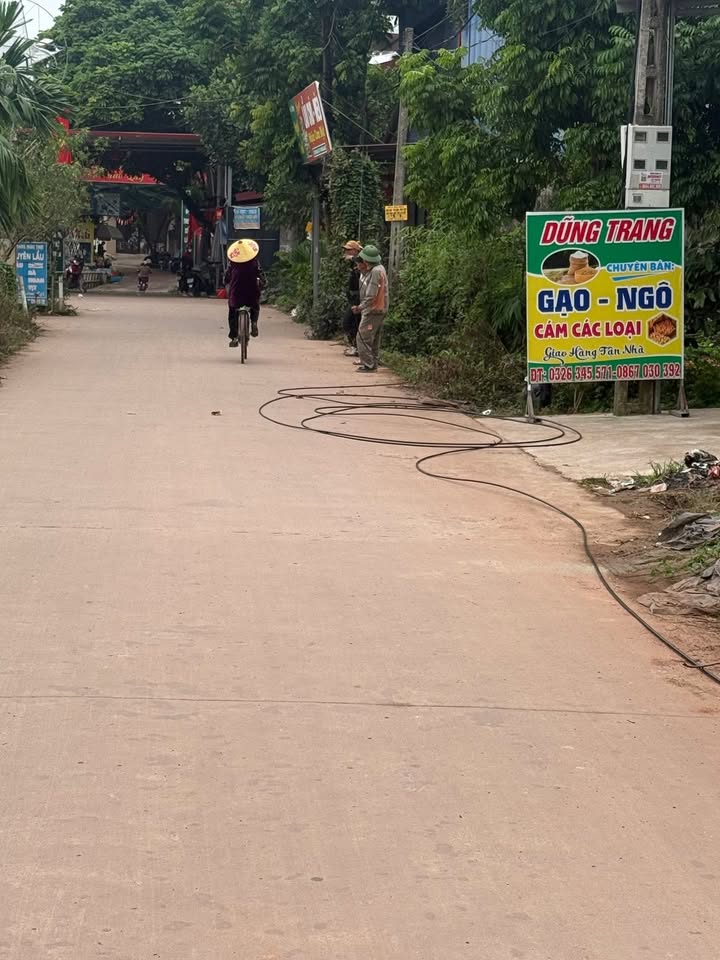 Đất nền Hương Lạc Lạng Giang 100m² - Kinh doanh sầm uất, giá tốt!