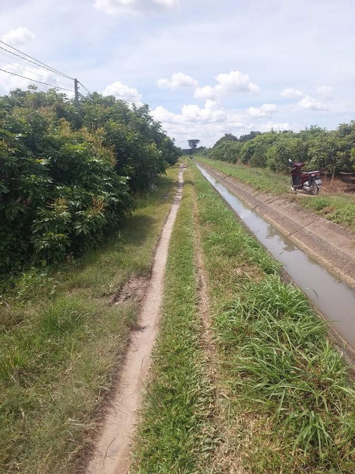 Đất nông nghiệp 2.8 công tại Phường Long Hoa, Tây Ninh - Giá chỉ 952 triệu