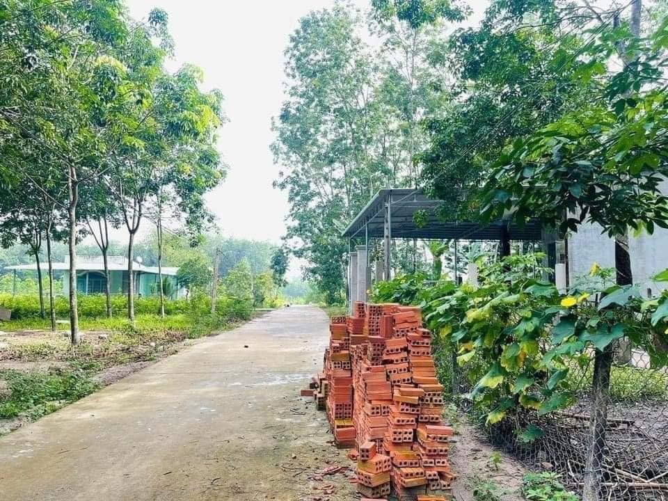 Đất nền chính chủ 10x60m tại Minh Hưng, Chơn Thành - Chỉ 500 triệu!