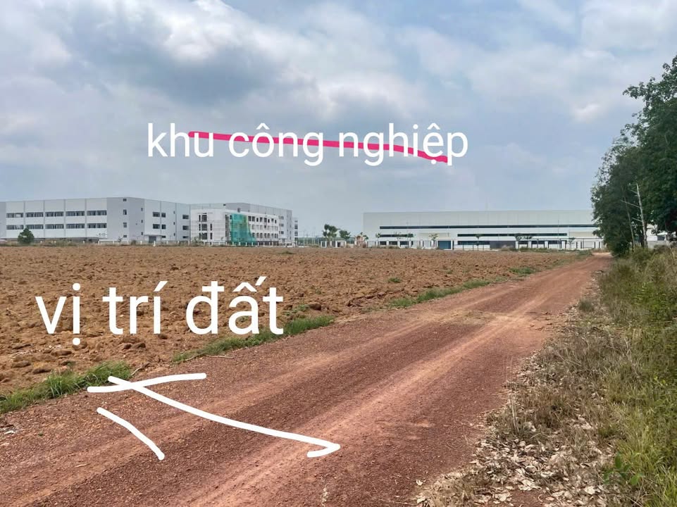 Đất nền Tân Hòa, Biên Hòa, 1000m² giá 299 triệu - Sổ hồng sang tên trong ngày!