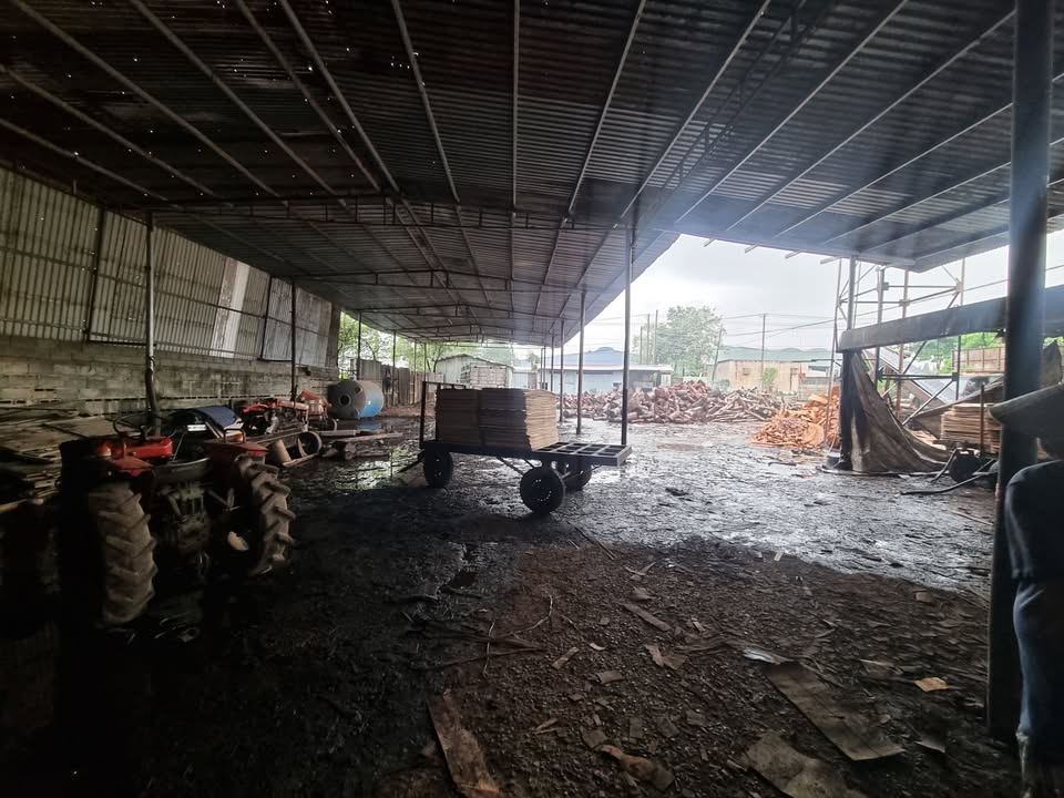 Cho thuê xưởng 800m² và đất 2000m² tại Phước Tân - Giá 20 triệu/tháng, xe container vào tận nơi!