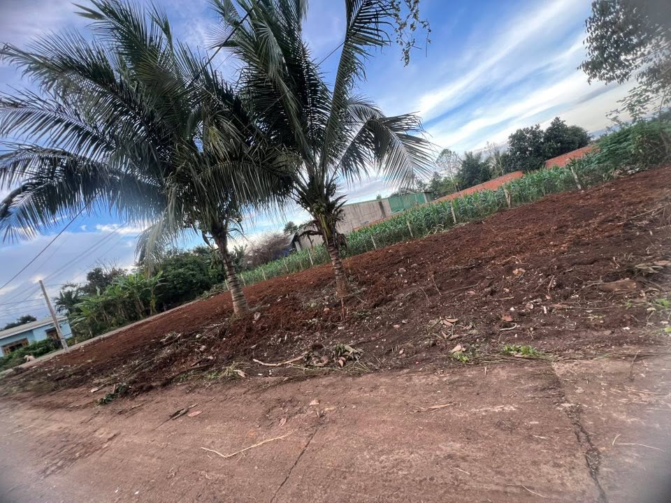 Đất nền 216m² đường Cao Thắng, phường Ea Kao, giá 1.15 tỷ - Đầu tư sinh lời ngay!