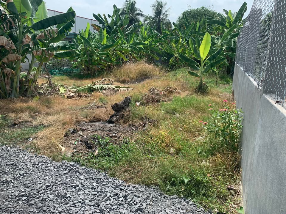 Đất thổ cư Bến Lức 241m² giá 780 triệu - Cơ hội đầu tư tuyệt vời!