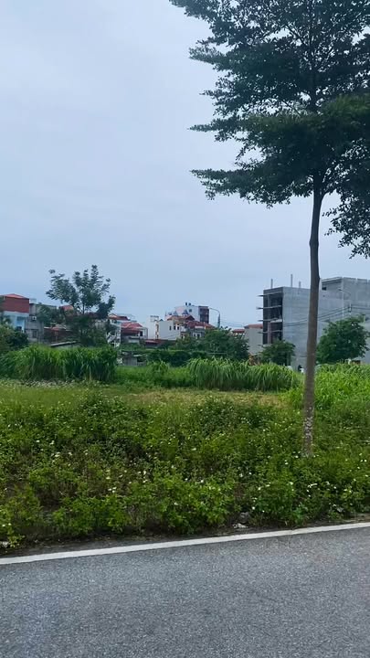 Đất nền Trần Cao, xã Quang Hưng, 80m², giá chỉ 2 tỷ - Đầu tư sinh lời!