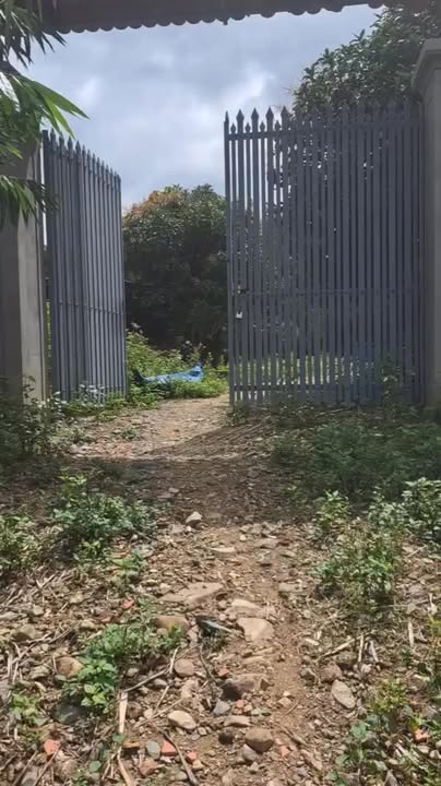 Trang trại rộng 18.756m² tại Diên Điền, Khánh Hòa - Giá 3,5 tỷ, đầu tư sinh lời!