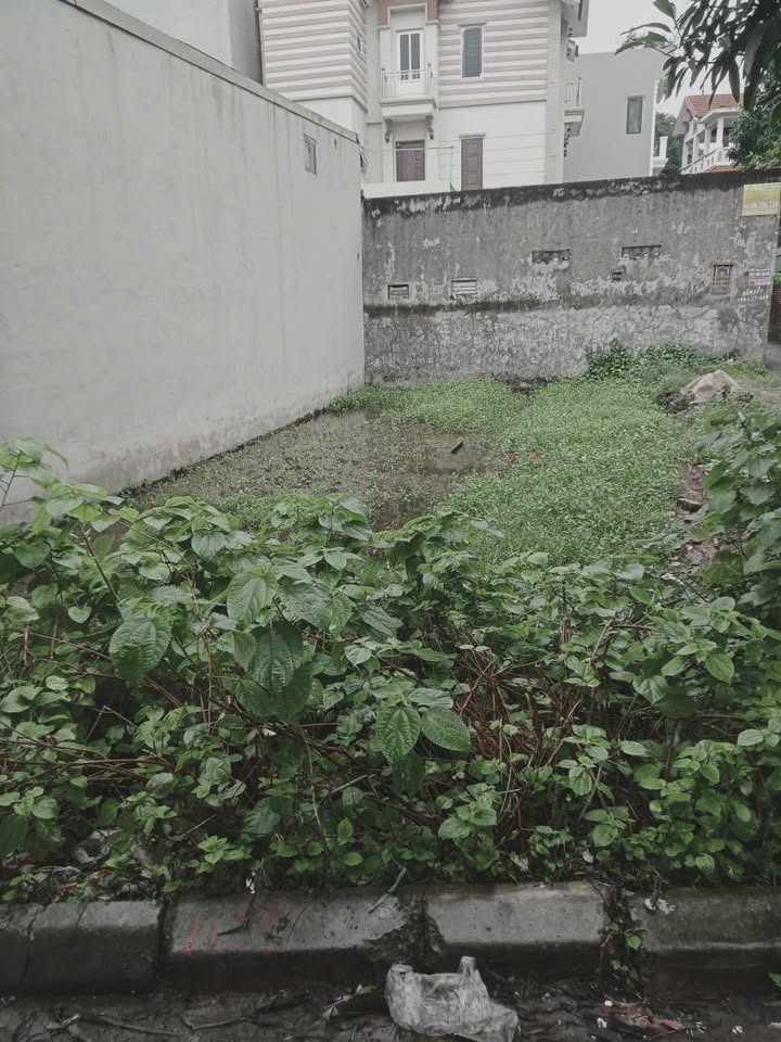 Đất Phúc Lợi Long Biên 58m² giá 8.5 tỷ - Đầu tư sinh lời ngay!