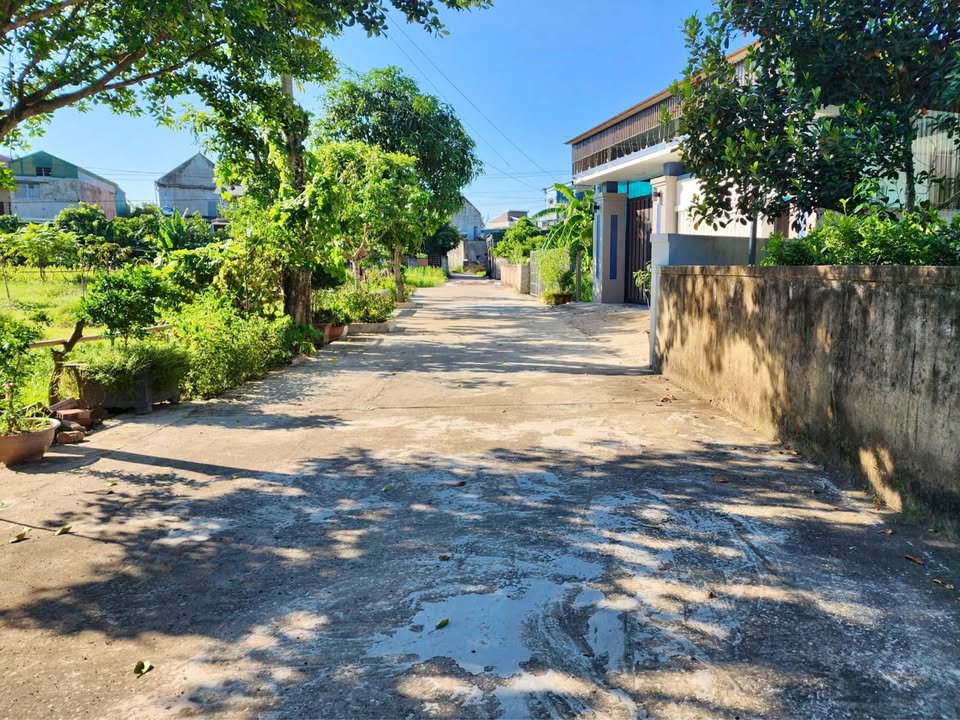 Đất nền Nghi Thái 72m² giá chỉ 980 triệu - Cơ hội đầu tư hấp dẫn!