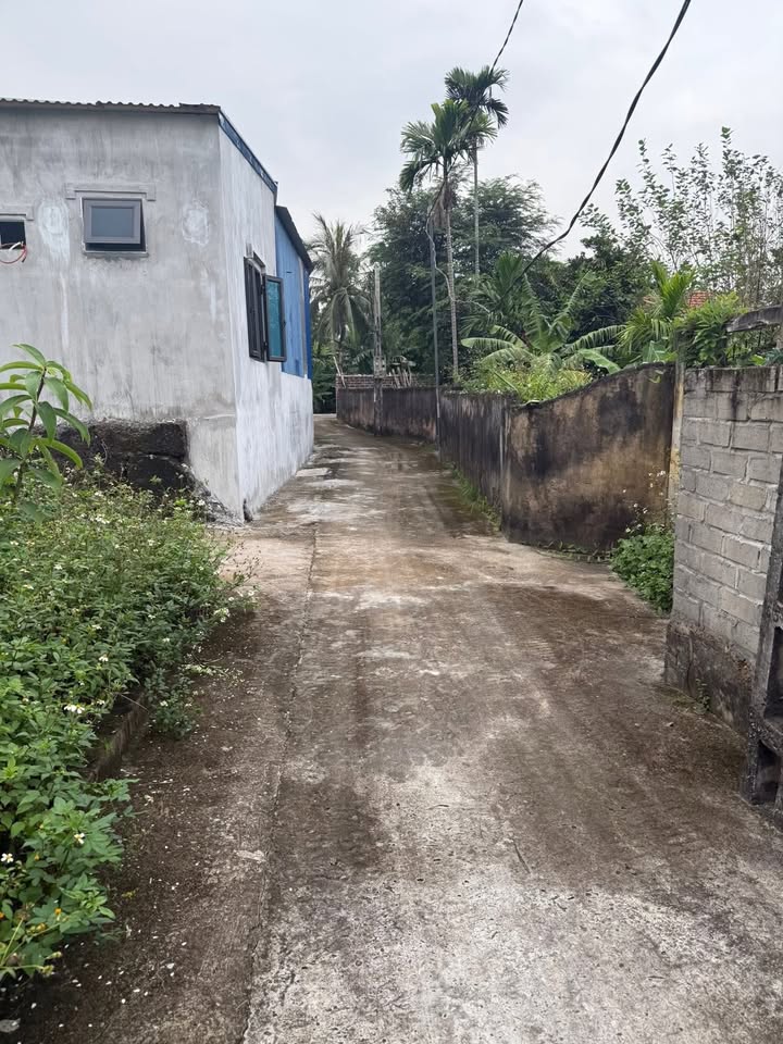 Đất thổ cư 60m² tại thôn 7, xã Quảng Thanh - Giá chỉ 700 triệu!