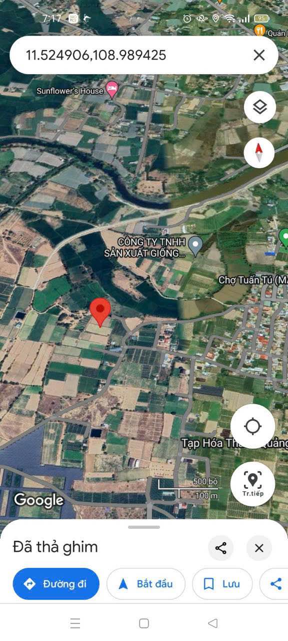 Đất nông nghiệp An Hải 4146m² - Đầu tư sinh lời ngay!