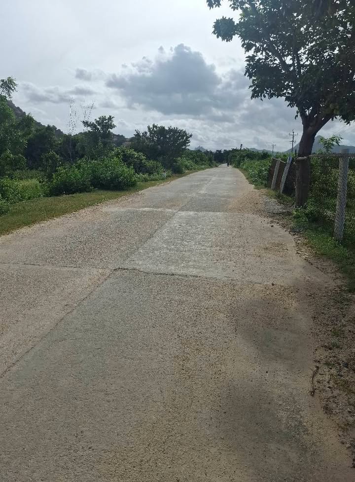 Đất mặt tiền Bê Tông Phước Hải, Ninh Phước 3,2ha giá 6 tỷ - Cơ hội đầu tư hấp dẫn!