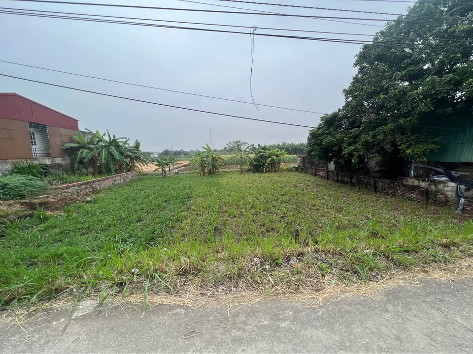 Đất nền mặt đường Tỉnh lộ 284, Bắc Ninh 90m² giá chỉ 2 tỷ - Cơ hội đầu tư hấp dẫn!