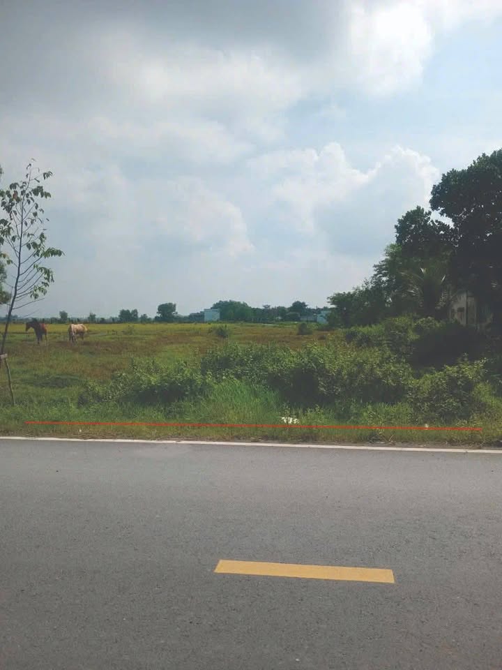 Đất thổ cư 530m² + 70m² đất lúa tại Đức Hoà - 4.65 tỷ - Cơ hội đầu tư tuyệt vời!