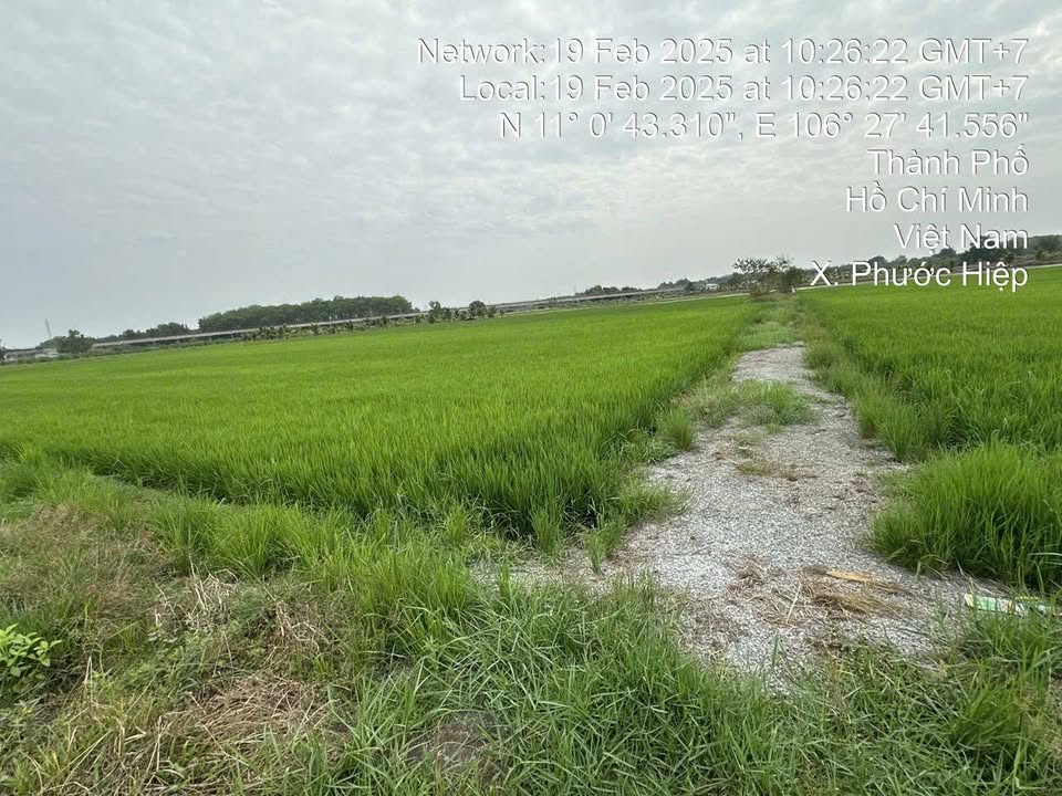 Đất lúa Tân An Hội 3.400m² giá chỉ 1.3 tỷ - Cơ hội đầu tư sinh lời!