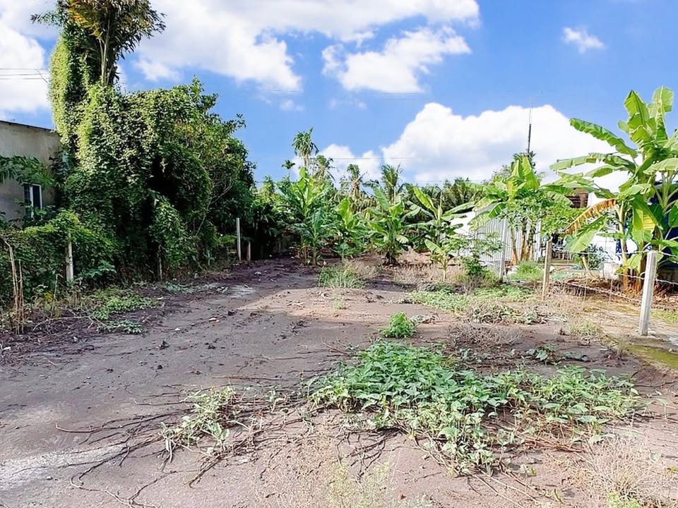 Đất nền thổ cư mặt tiền tỉnh lộ 927, xã Phương Bình, Cần Thơ - Sổ hồng riêng, giá 1.6 tỷ!