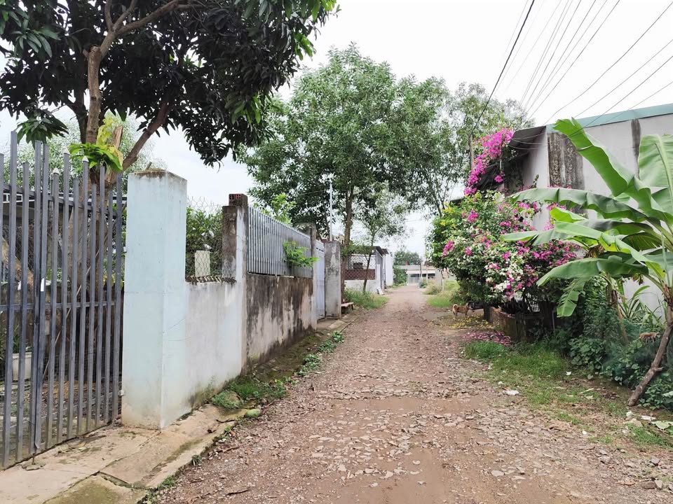 Đất nền giá rẻ 5x38m tại Bắc Sơn, Trảng Bom – Chỉ 1,3 tỷ VND!