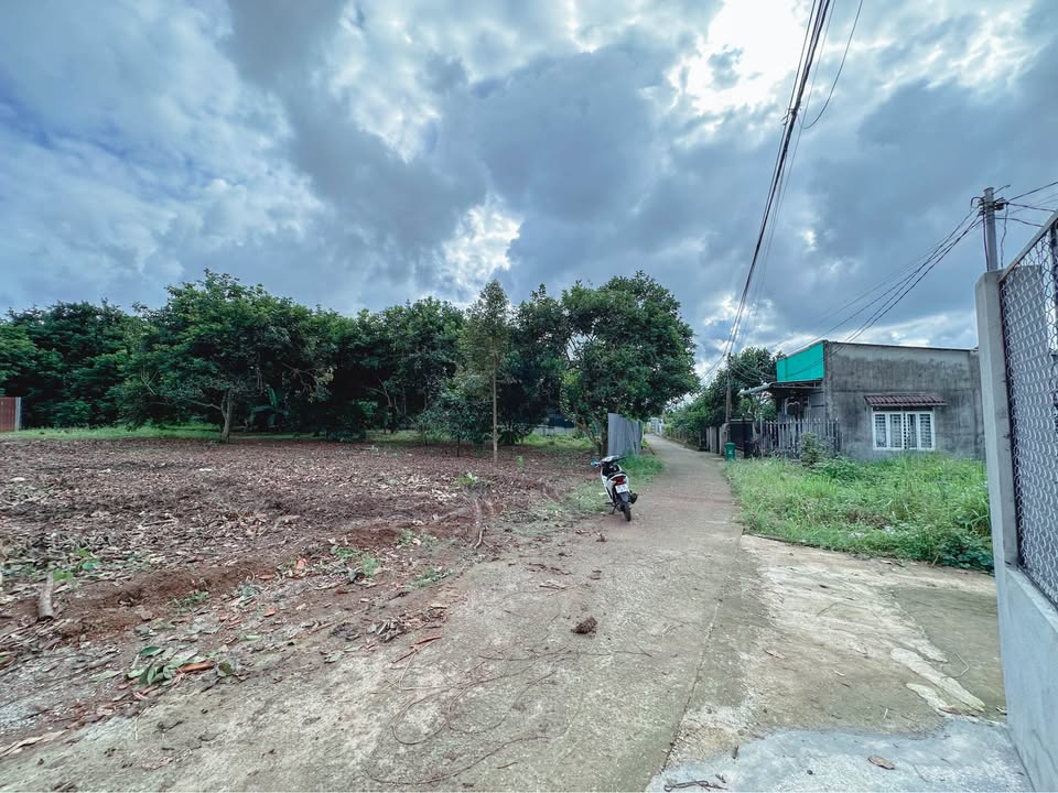 Đất nền Bình Lộc 135m² giá chỉ 890 triệu - Sổ đỏ riêng, pháp lý rõ ràng!