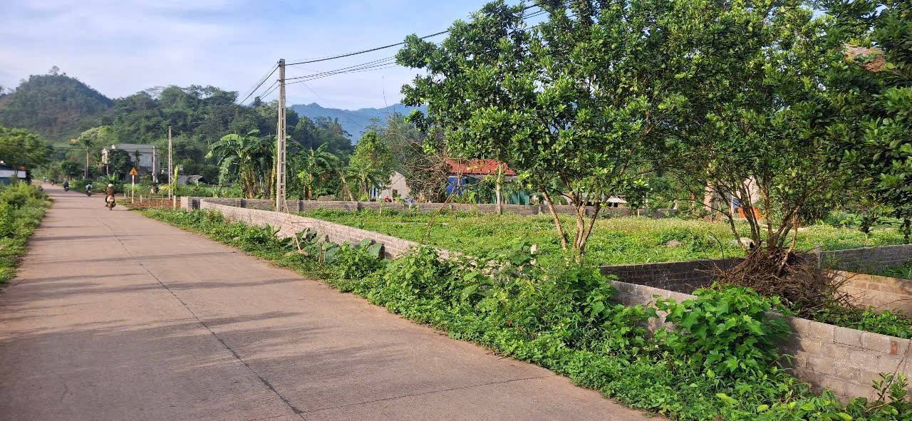 Đất thổ cư 1168m² tại Phú Vinh, Tân Lạc - Sổ hồng chính chủ, chỉ 1 tỷ!