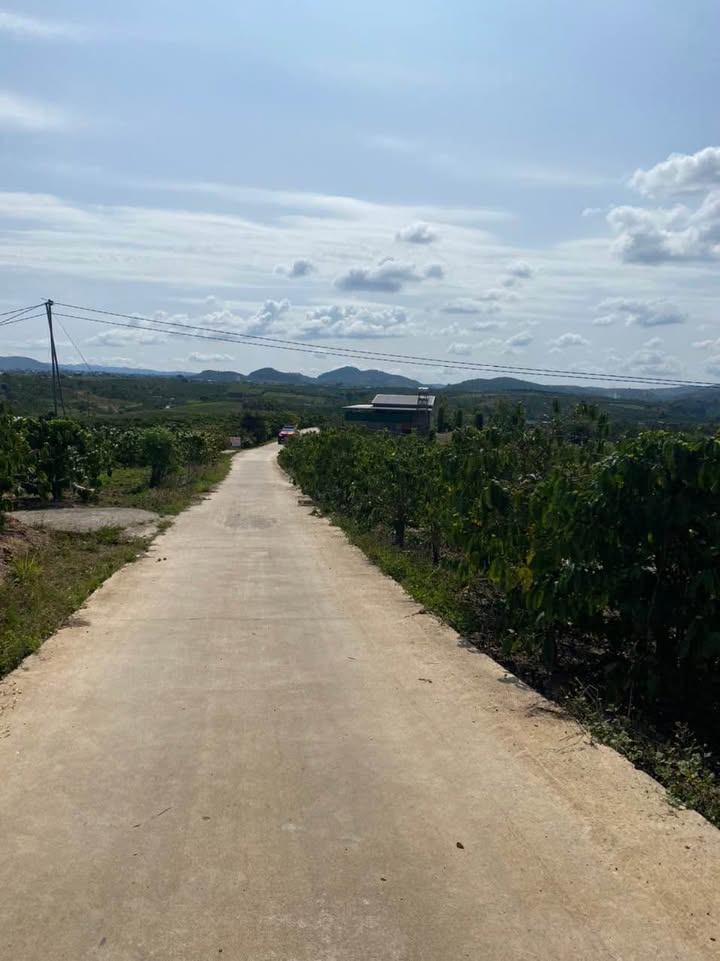 Đất ở xã Tân Hà, Đức Trọng 6000m² giá chỉ từ 5 triệu/m² - Sổ đỏ chính chủ!