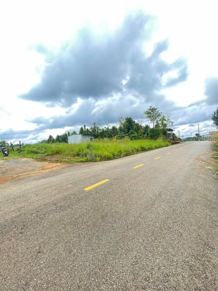 Đất nghỉ dưỡng phường 2 TP Bảo Lộc 800m² giá 2.49 tỷ - Vị trí đẹp gần chùa Adidà!