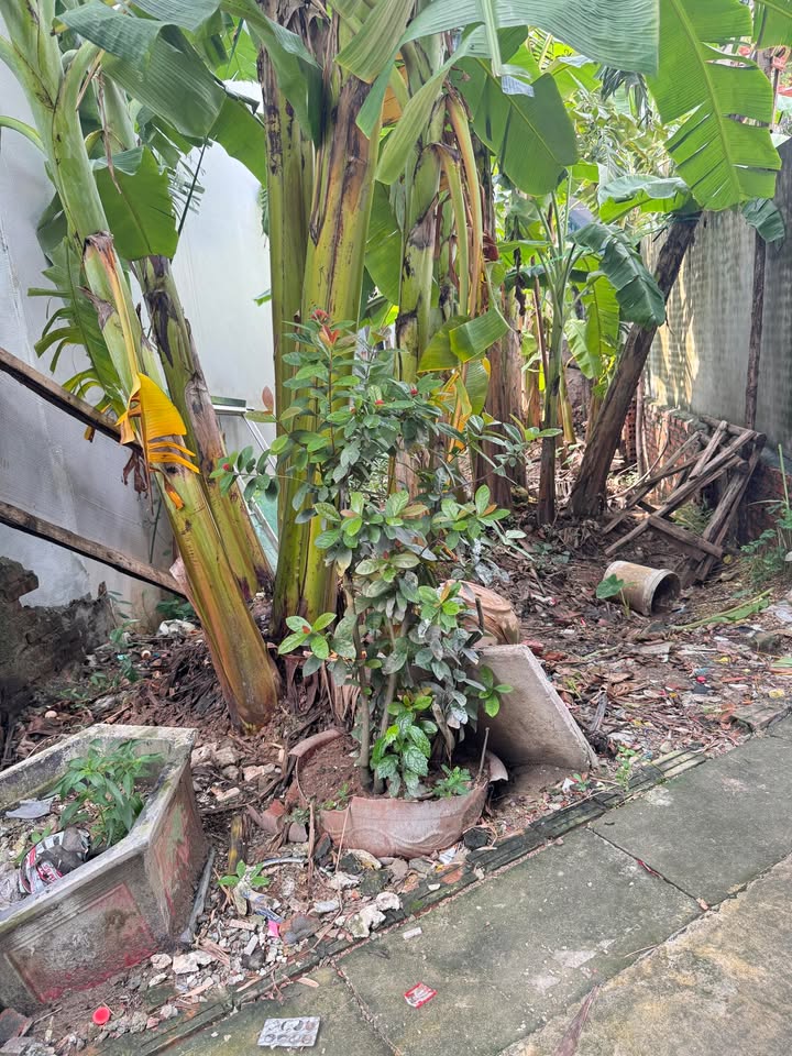 Đất nền An Hạ, An Khánh 50m² giá 5 tỷ - Cơ hội đầu tư hấp dẫn!