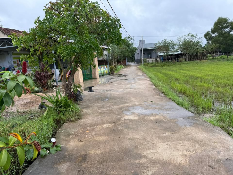 Đất nền Hòa Tiến Đà Nẵng 150m² giá 900 triệu - Sổ đỏ chính chủ, không ngập nước!