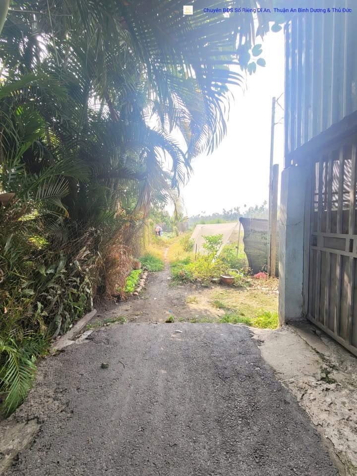 Đất nền đường Trương Văn Vĩnh, Dĩ An 625.2m² chỉ 5 tỷ - Cơ hội đầu tư sinh lời cao!