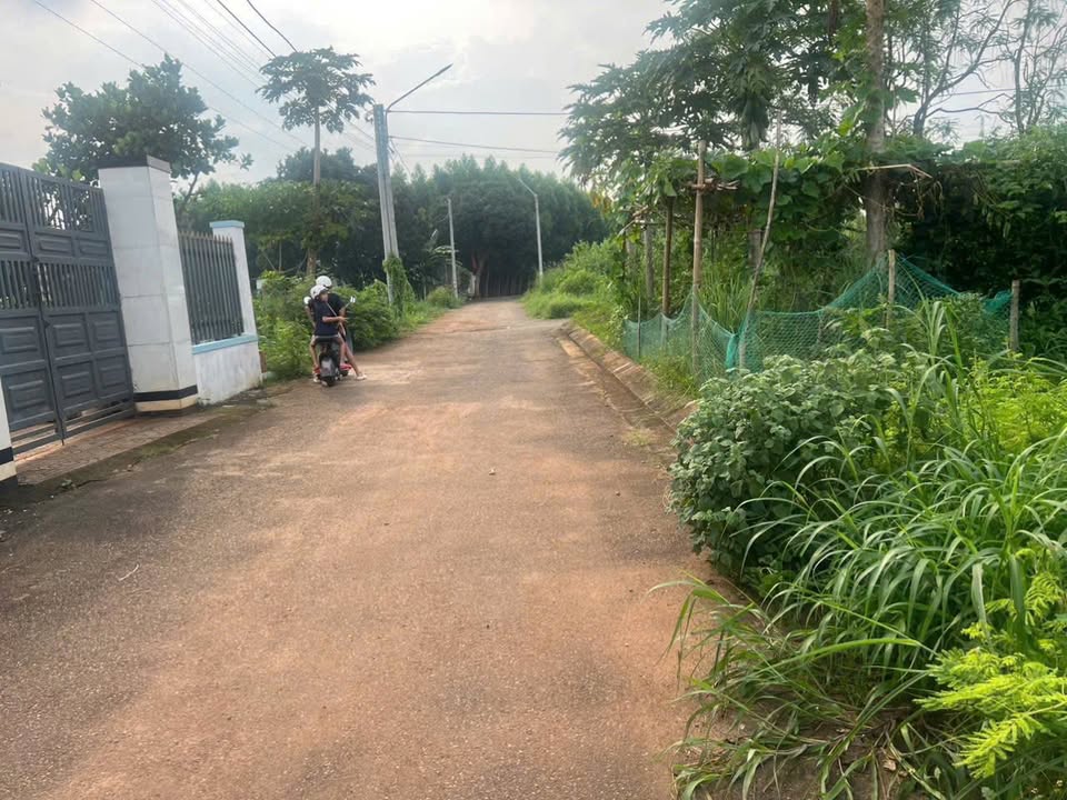 Đất thổ cư 150m² đường 48, Hoà Long - Giá chỉ 1.5 tỷ, vị trí thuận lợi!