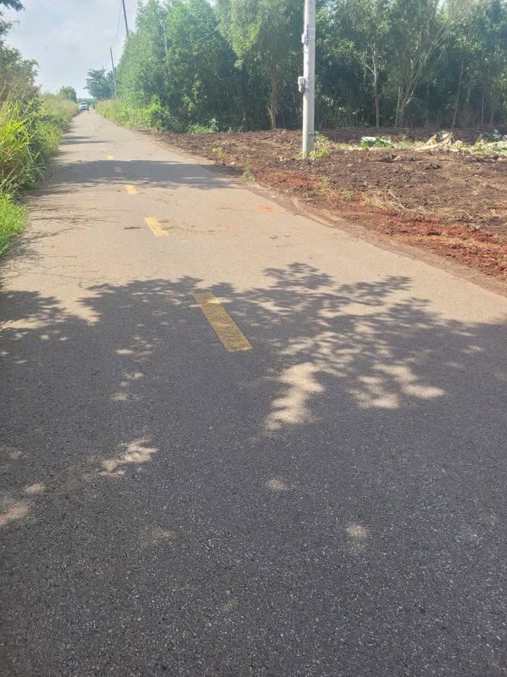 Đất nền 3293m² tại Phước Long Thọ, Đất Đỏ - Đầu tư sinh lời tuyệt vời!