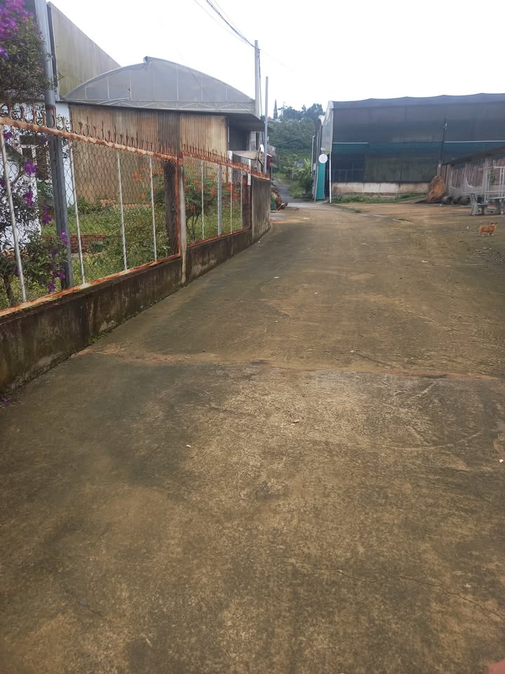 Nhà cấp 4 hẻm 53 Chị Lãng, Lộc Sơn, Bảo Lộc 400m² giá 2.8 tỷ - Cần bán gấp!