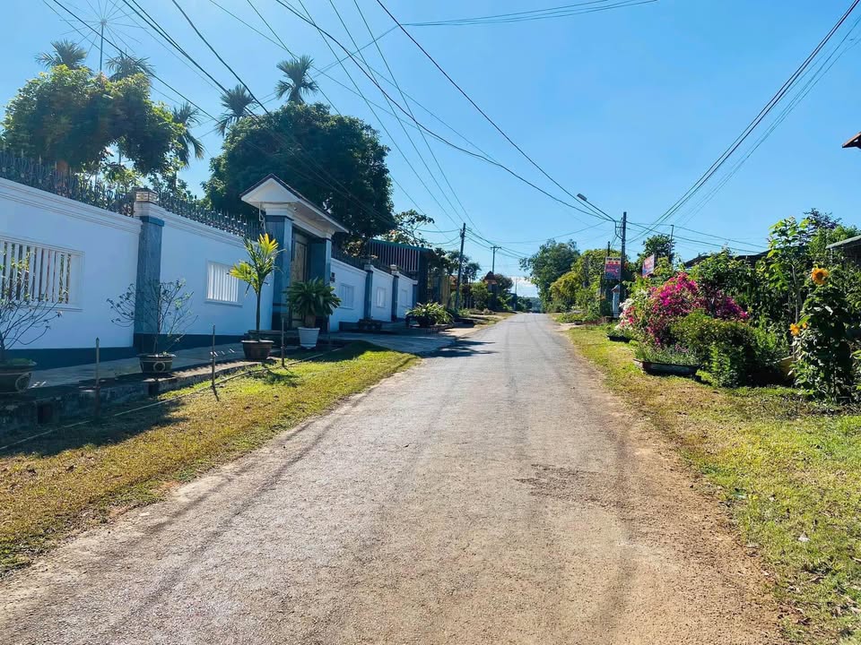 Đất nền 1600m² mặt tiền Nguyễn Biểu, Pleiku - Phù hợp đầu tư kho xưởng!