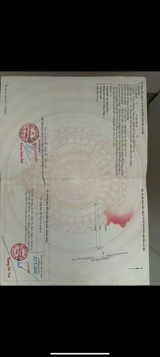 Đất mặt tiền Lê Đại Hành, Pleiku 265m² giá chỉ 2.2 tỷ - Cơ hội đầu tư hấp dẫn!