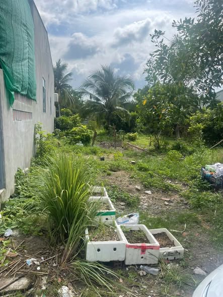 Đất thổ cư 80m² hẻm 8 đường Trường Xuân Tây Ninh - Giá chỉ 449 triệu!