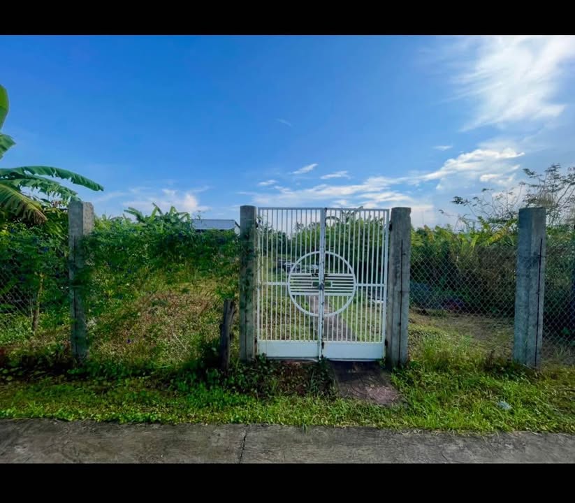 Đất vườn Lý Văn Lâm 540m² giá 1.25 tỷ - Tiềm năng phát triển cao!