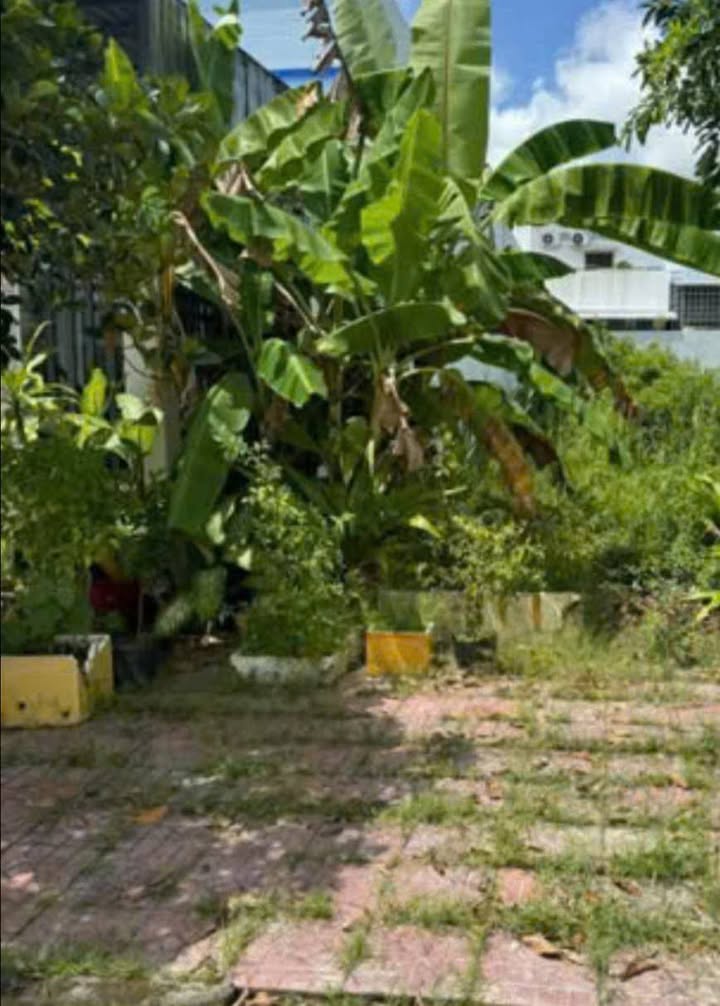 Đất nền đẹp tại Khu DC Licogi, TP. Cà Mau 143m² chỉ 1.716 tỷ - Sổ hồng chính chủ!