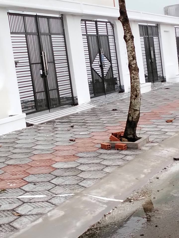 Đất nền đô thị Sao Mai, Lý Văn Lâm, 105m² giá chỉ 1.15 tỷ - Cơ hội đầu tư tốt!