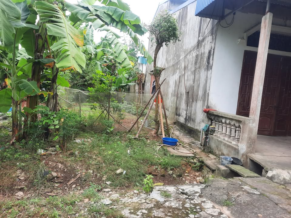 Đất thổ cư 200m² xã An Khánh, giá chỉ 700 triệu - Cơ hội đầu tư tuyệt vời!