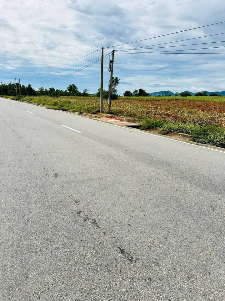 Đất mặt tiền đường Văn Lâm 1.000m² giá 800 triệu - Đầu tư sinh lời ngay!