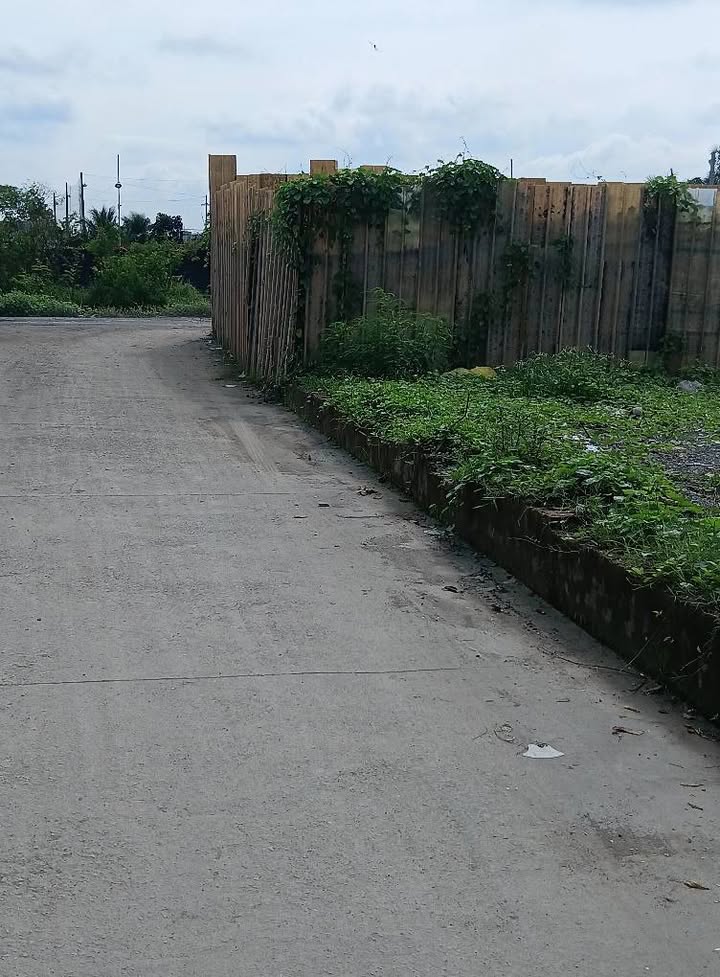 Đất sổ đỏ Rạch Cầu Suối, Bình Tân 558m² giá 2.5 tỷ - Cơ hội đầu tư tuyệt vời!