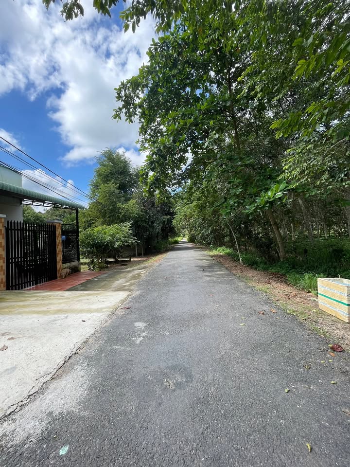 Đất nền đường Bến Súc, Củ Chi 666m² giá 3 tỷ - Vị trí đẹp, tiện ích đầy đủ!