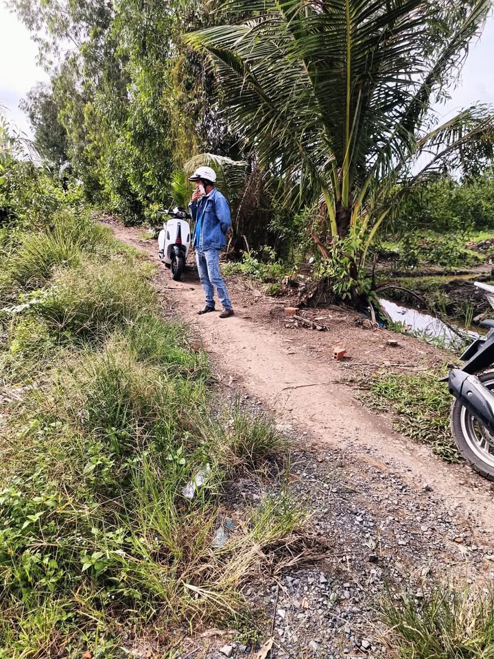 Đất nền 500m² ấp 5 Bình Đức, Bến Lức - Giá chỉ 290 triệu, đầu tư sinh lời!