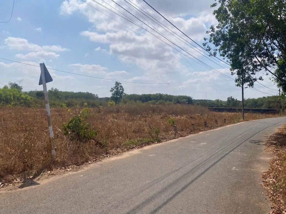 Đất nền Long An, Long Thành, Đồng Nai 133m² giá 2.35 tỷ - Đầu tư sinh lời ngay!