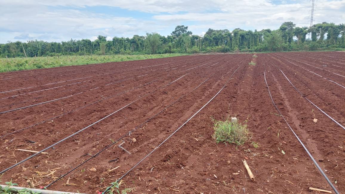 Đất thổ cư 1600m² xã Dray Bhăng - Gần khu công nghiệp, giá thỏa thuận!